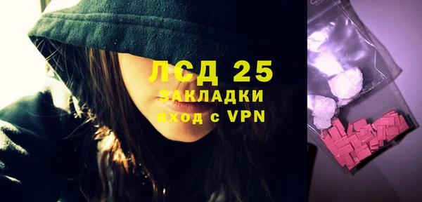 шишки Абинск
