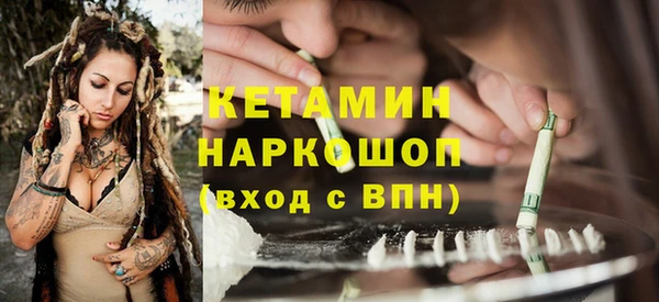 шишки Абинск