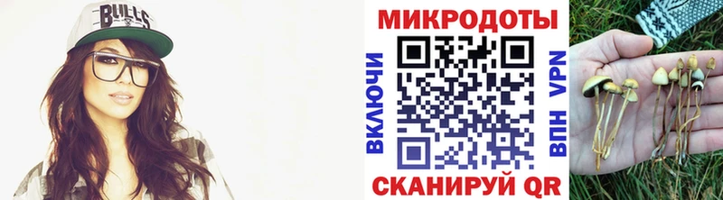 Псилоцибиновые грибы Psilocybe Ангарск